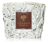 Baobab Collection Brame Sylvanus bougie parfumée 500 g