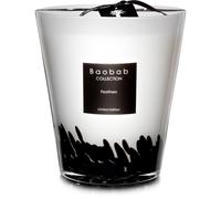 Baobab Collection Feathers bougie parfumée 1000 g