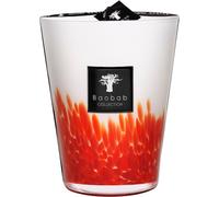 Baobab Collection FeathersBougie parfumée Feathers Masaai Max 24 3000 g