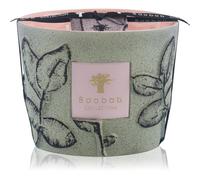Baobab Collection Folia Maquis bougie parfumée 500 g