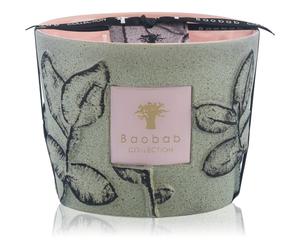 Baobab Collection Folia Maquis bougie parfumée 500 g