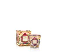 Baobab Collection - My First Baobab - My First Baobab Mexico