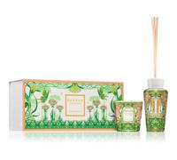 Baobab Collection My First Baobab Tomorrowland coffret cadeau