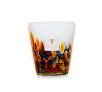 Baobab Collection - Rainforest - Max 16 Rainforest Mayumbe