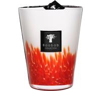 Baobab Feathers Bougie parfumée Masaai 3000 g 3000 g
