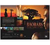 Baobabs entre terre et mer
