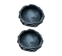 Baoblaze 2pcs Reptile Days Days Food Bols Terraium Bols Bols d'alimentation Ficheurs pour Dragon Barbu Dragon à Cornes, Rond