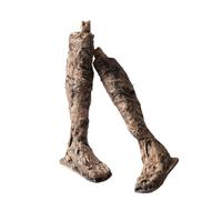 Baoblaze Halloween Skeleton Prop Décoration Ossements Effrayants Accessoire Macabre Ornement Funèbre Pièce d'Ornement Finition Vieillie Soulignant Adapté aux , Pied De Cadavre Séché