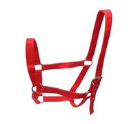 Baoblaze Licol Cheval Corde Résistante Réglable Sangle PP Harnais Doublé Cuir Antifrottement Utilisation Adaptée à Ferme Sports Extérieurs Chevaux, Rouge