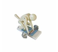 Baoblaze Modèle de Colonne Vertébrale Support pour l'Éducation Posturale du Dos en Enseignement des Mouvement de Levage Adapté aux Instructeurs Formation, Blanc Crème Double