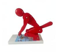 Baoblaze Modèle de Colonne Vertébrale Support pour l'Éducation Posturale du Dos en Enseignement des Mouvement de Levage Adapté aux Instructeurs Formation, Rouge