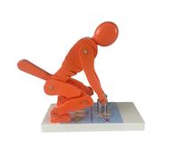 Baoblaze Modèle de Colonne Vertébrale Support pour l'Éducation Posturale du Dos en Enseignement des Mouvement de Levage Adapté aux Instructeurs Formation, Orange