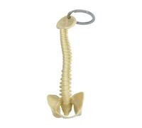 Baoblaze Porte-clés Squelette de Colonne vertébrale Humaine, en PVC, à Collectionner, Petit modèle décoratif Miniature de Colonne vertébrale Humaine, Jaune