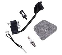 BAOFUYA Module de Bobine D'allumage, Remplacement Durable, pour Tondeuse, Emballage Haute Pression de Jardinage Professionnel