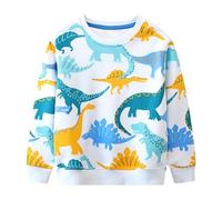 Baogaier Garçon Sweatshirt Imprimé Dinosaure Blanc Pullover Manches Longues Col Rond Sweat Printemps Automne Hiver Sportswear Décontracté Maillot de Survêtement Pull Veste pour Enfants 6-7 Ans
