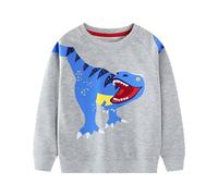 Baogaier Garçon Sweatshirt Imprimé Pullover Manches Longues Col Rond Sweat Printemps Automne Hiver Sportswear Décontracté Maillot de Survêtement Pull Veste pour Enfants 6-7 Ans, Gris Dinosaure