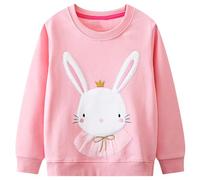 Baogaier Pull Fille Sweatshirt Haut à Manches Longues Pullover Lapin Rose Duveteux Animal Motif Mignon Sweat Sport Loisir Casual T-Shirts Col Rond Enfant Top Mode Vêtements 5-6 Ans