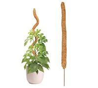 Baogao 80cm Tuteurs en Coco Monstera,Bâton Culture en Coco Extensible Coco Naturelle Support Tuteur Tuteur Plante Grimpante Intérieur pour Plante Monstera Maison Jardin