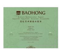 Baohong : Bloc de papier aquarelle professionnel en pur coton : 300 g/m² : 20 feuilles : 31 x 41 cm : moyen