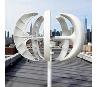 BAOJUHUIKANG 24V, Générateur d'éolienne 2000W 12V 24V 48V 220V à axe Vertical 5 pales, kit de générateur d'éolienne pour Maison, Hybride, éclairage Public (Blanc)