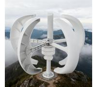 BAOJUHUIKANG 24V, Générateur d'éolienne Verticale à Faible Bruit 3000W, avec 5 pales, kit Moteur d'éolienne à axe Vertical pour Jardin et Maison (12V-220V)