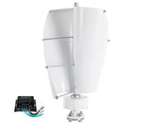 BAOJUHUIKANG 48v, Générateur d'éoliennes à axe Vertical 14000W 12V 24V 48V 220V, avec contrôleur, kit d'éoliennes à 2 pales pour Maison ou Camping (Blanc)