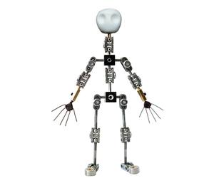 BAOJUHUIKANG Kit d'armature Stop-Motion DIY avec Mains et crâne, kit d'armature Stop-Motion pour animateurs, Photographie, Argile et projets créatifs (12 cm-20 cm),12CM