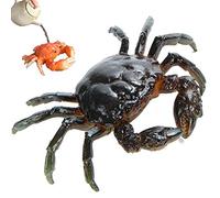 Baokuan Changer De Couleur Crabe Tea Pet Resin Thé Thé Ornements Statue Home Decoration Accessoires Modernes