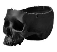 Baokuan Pot De Fleurs en Forme De Tête De Mort pour Plantes - Pot De Fleurs Réaliste en Forme De Tête De Mort Humaine, Décoration Halloween/Gothique, Pot en Résine pour Plantes Grasses, Bonsaïs, Bar,