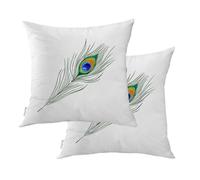 BaoNews Feather Peacock Cartoon Outdoor Throw Pillow Covers,Exotic Bird Animal Colorful Fashion Water Resistant Linen Cushion Cover Hidden Zipperl Indoor Pillows for Hair Skin Square 18X18 in 2 Pcs