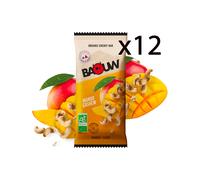Baouw - Pack de 12 barres énergétiques bio 50 g - Pack Barres Mangue Cajou (x12)