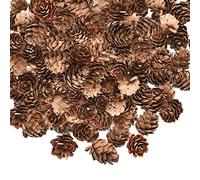 BAQI 200Pcs Noël Mini Pommes De Pin Naturels Pommes De Pin Séchées Rustiques En Vrac Thanksgiving Pommes De Pin Ornements Vase Remplisseurs pour Bricolage Artisanat Décorations pour la Maison