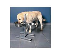 Bar pour chiens