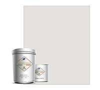 BAR-RESINE : Peinture/résine époxy bi-composants, en phase aqueuse pour carrelages, faiences, stratifiés, PVC, etc… - 1 kg BRILLANT - 10m² - Blanc - Ecce homo