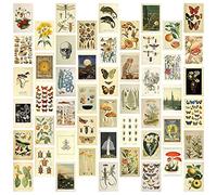 Barabesty Kit de collage mural esthétique vintage - 50 mini affiches de collage botanique (10,2 x 15,2 cm), pour mur photo
