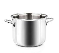 Barazzoni Casserole Bonita 2 Manches Acier Inoxydable 24 CM Bas Termoradiante