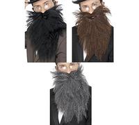 Barbe longue grise avec Moustaches