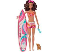 Barbie Barbie Surfer Avec Accessoires