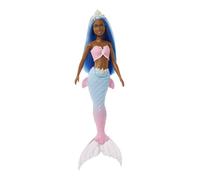 BARBIE COFFRET BARBIE À LA FERME AVEC POUPÉE BARBIE BRUNE (29 CM), POU
