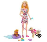 Barbie Doll And Accessories