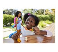 Barbie Dreamhouse Adventures - It Takes Two - Coffret Vive le Camping