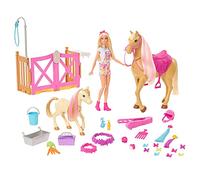 Poupée Mannequin - Barbie - HGB58 - Coffret Toilettage des Chevaux Barbie avec 1 poupée