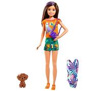 Barbie Coffret poupée Anniversaire perdu de Chelsea – Skipper et son chiot, accessoires, GRT88