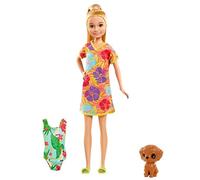 Barbie Famille l'anniversaire Perdu de Chelsea Coffret poupée Stacie et Son Chiot, Accessoires de Voyage Inclus, Jouet pour Enfant, GRT89