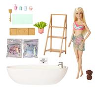 Barbie Fashionistas Doll and Playset