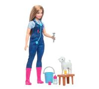 Mattel HRG42, Figurine