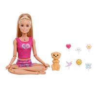 Barbie Mindful Moves