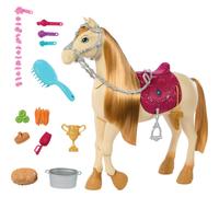 Barbie mysteries la mystérieuse aventure du cheval multicolore TU