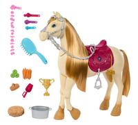 Barbie – Coffret et son cheval tornade Mysteries : The Great Horse Chase