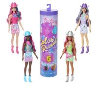 Barbie-Poupée Barbie Color Reveal-Série Disco Country Star 6 Surprises - 3 ans+- JCP01